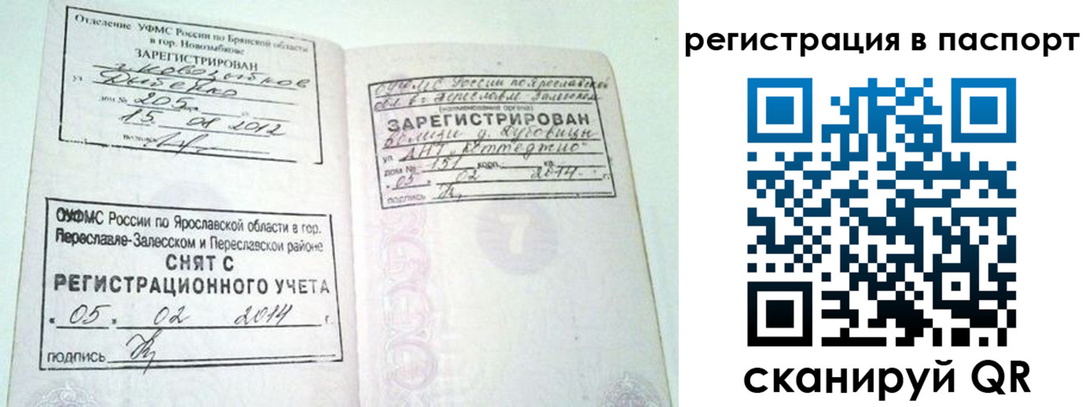 прописка в квартире в Асино